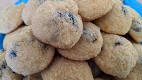 Orange Cranberry Keto Cookies